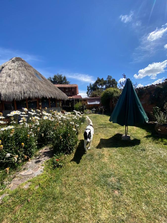 Casa De La Gringa Mountain House Bed & Breakfast Cusco Bagian luar foto